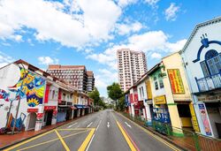 Little India Conservation Area (D8), Shop House #561758291